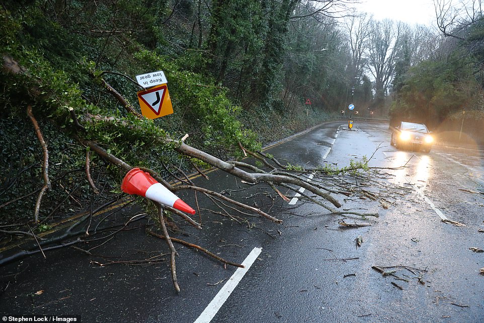 Storm Agnes set to Batter UK with Strong Winds and Heavy Rain | Post Buddy