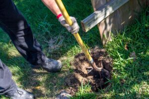 Fence post replacement