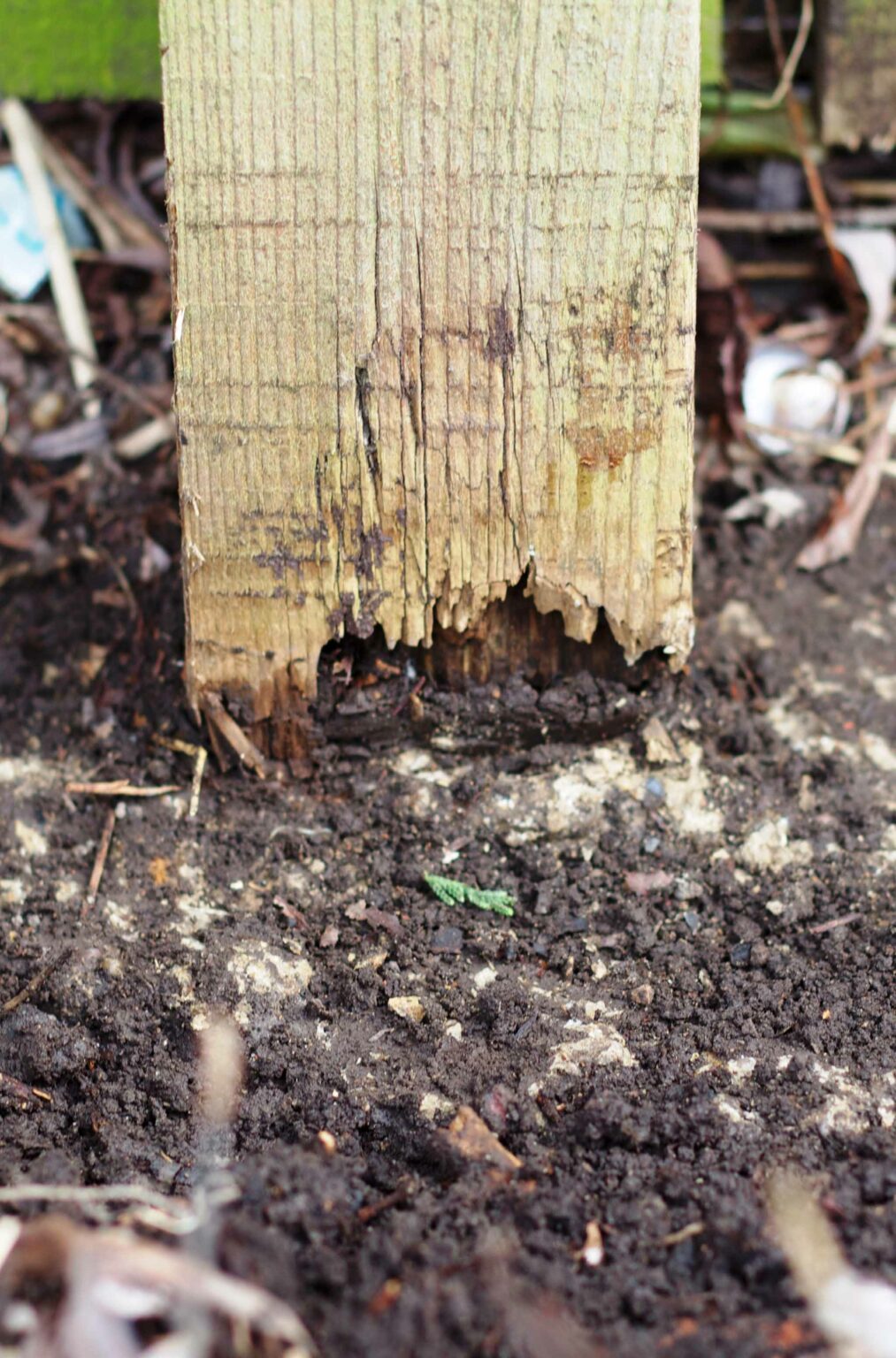 Why do wood fence posts rot? Post Buddy